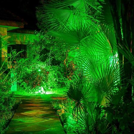 Samui Green Space Resort Mae Nam Extérieur photo